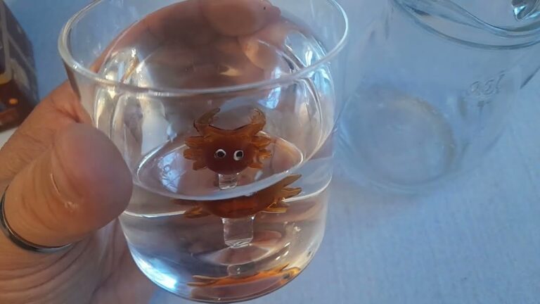 Bicchieri con pesci: una visione affascinante nell&#8217;arte dell&#8217;acquario